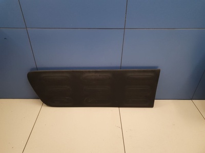 98010235Xt Kapı Çıtası Sol Ön Citroen C4 Cactus 2014-